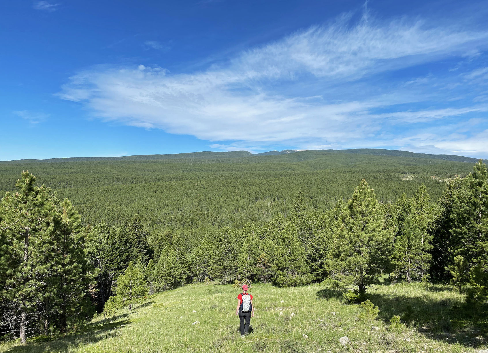 BLM land